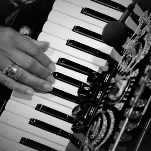 Photo of Kip's accordion 